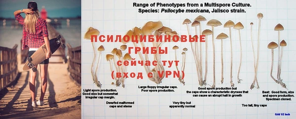 бутират Елабуга