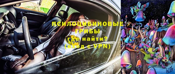 jwh Ельня
