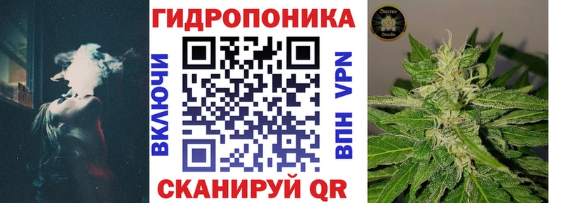 где найти   Калачинск  сайты даркнета Telegram  Каннабис семена 